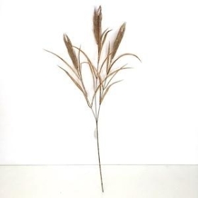 Brown Wheat Spray 75cm