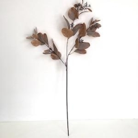 Brown Populus Eucalyptus Spray 79cm