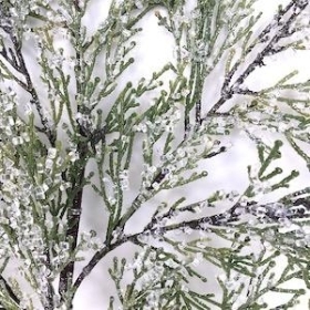 Iced Green Cypress Branch 75cm