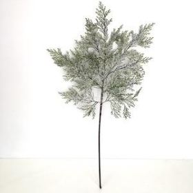 Iced Green Cypress Branch 75cm