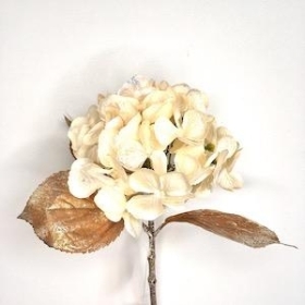 Cream Glittered Hydrangea 45cm