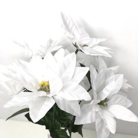 White Poinsettia Bush 29cm