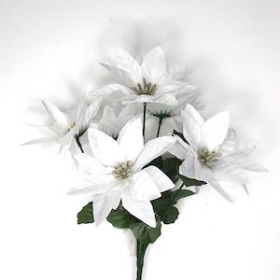 White Poinsettia Bush 29cm