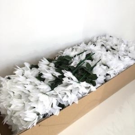 72 x White Poinsettia Bush 29cm