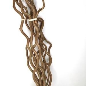 Twisted Hazel Bundle 80cm