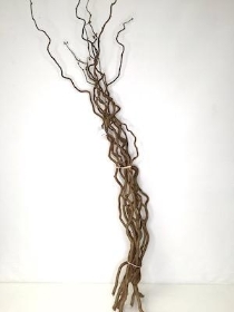 Twisted Hazel Bundle 80cm