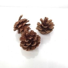 Natural Pinecones 250g