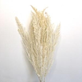 White Glitter Wheat Bush 37cm