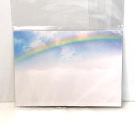 Florist Cards Plain Rainbow x 6