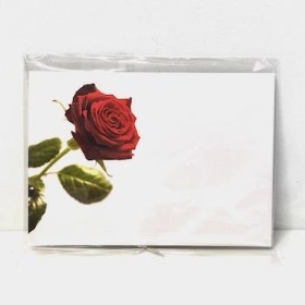 Florist Cards Plain Red Rose x 6