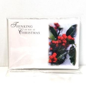 Florist Cards Thinking Of You Christmas x 6