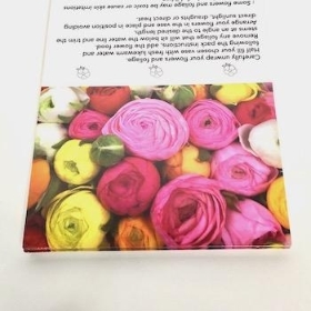 Mixed Ranunculus Folding Card x 25