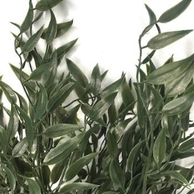 Dark Green Ruscus Bush 53cm