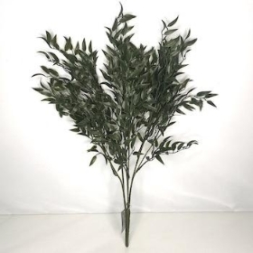 Dark Green Ruscus Bush 53cm