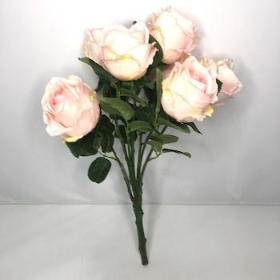 Cream Open Rose Bush 38cm