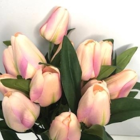 Pink Tulip Bush 40cm