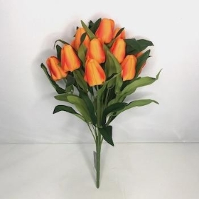 Orange Tulip Bush 40cm