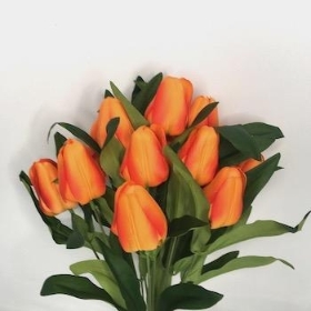 Orange Tulip Bush 40cm