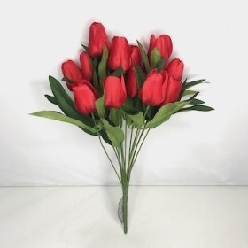 Red Tulip Bush 40cm