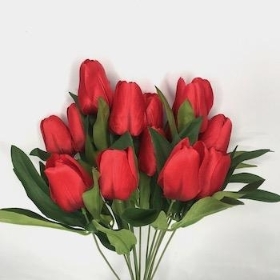 Red Tulip Bush 40cm