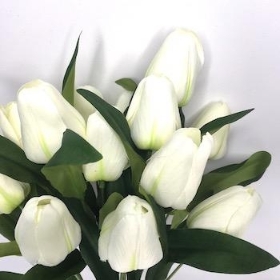 Ivory Tulip Bush 40cm