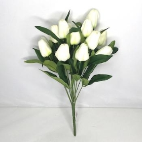 Ivory Tulip Bush 40cm