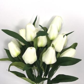 Ivory Tulip Bush 40cm