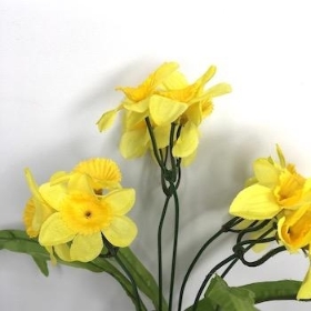 Yellow Mini Daffodil Bush 34cm