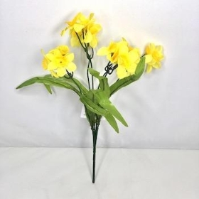 Yellow Mini Daffodil Bush 34cm