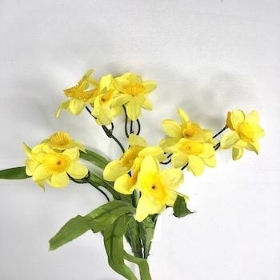 Yellow Mini Daffodil Bush 34cm