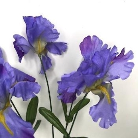 Purple Iris Bush 34cm