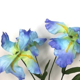 Light Blue Iris Bush 34cm