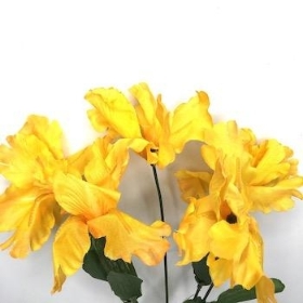 Yellow Iris Bush 34cm