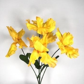 Yellow Iris Bush 34cm