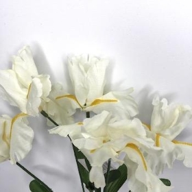 Ivory Iris Bush 34cm