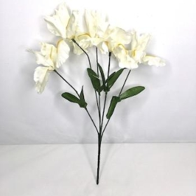 Ivory Iris Bush 34cm