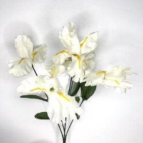 Ivory Iris Bush 34cm