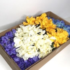 48 x Assorted Iris Bush 34cm