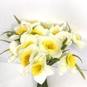 Ivory Yellow Daffodil Bundle 22cm