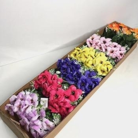 36 x Assorted Mini Anemone Bush 30cm