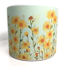 Daisy Field Print Pot 12cm