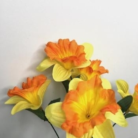 Yellow Orange Daffodil Bush 31cm