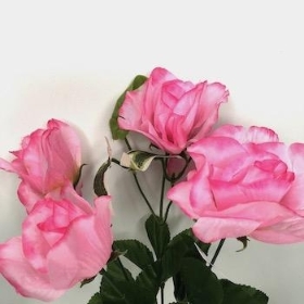 Pink Rose And Ivy Bush 31cm