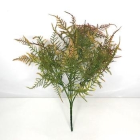 Brown Asparagus Fern Bush 34cm