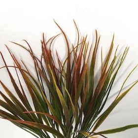 Brown Grass Bush 27cm