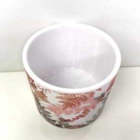 Fern And Berry Pot 12cm