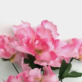 Pink Peony Bush 34cm