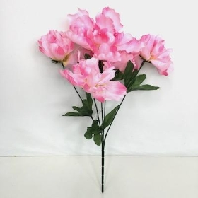 Pink Peony Bush 34cm