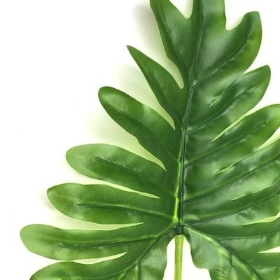 Green Philodendron Leaf 48cm