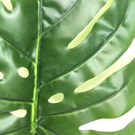 Green Split Philodendron Leaf 50cm